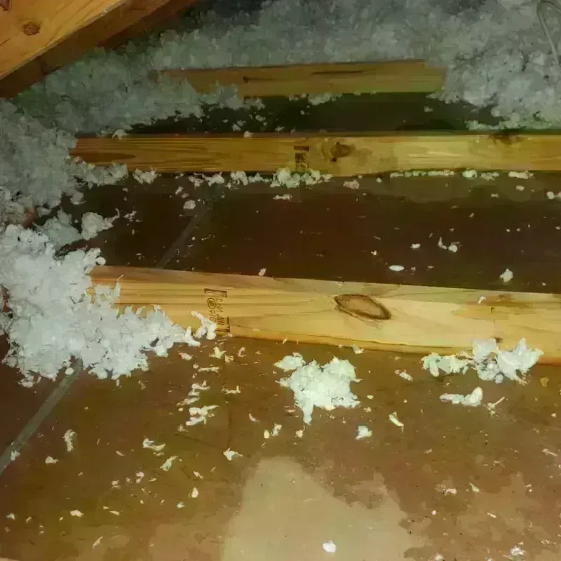 Attic Water Damage in Andover, OH