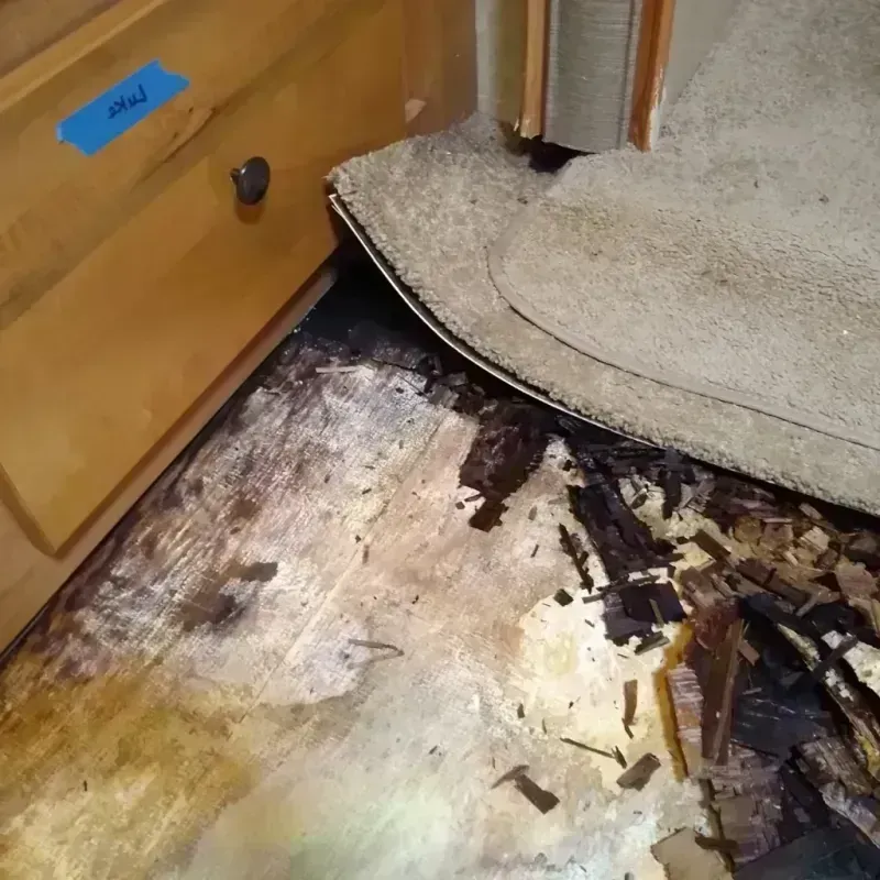 Wood Floor Water Damage in Andover, OH